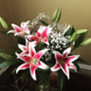 Meet your Posher, Erin